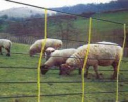 Sheep Netting